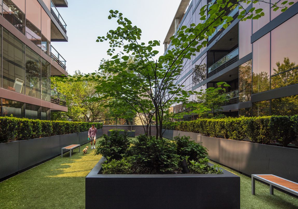 Optima Lakeview® Apartments in Chicago, IL Modern dog park courtyard with greenery, benches, and a person walking a dog between two glass buildings.
