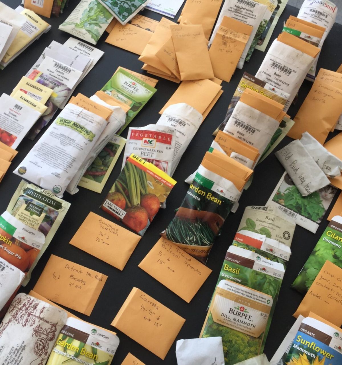 Optima Lakeview® Apartments in Chicago, IL Seed packets and envelopes with labels from the Chicago Seed Library are spread out across a black surface.