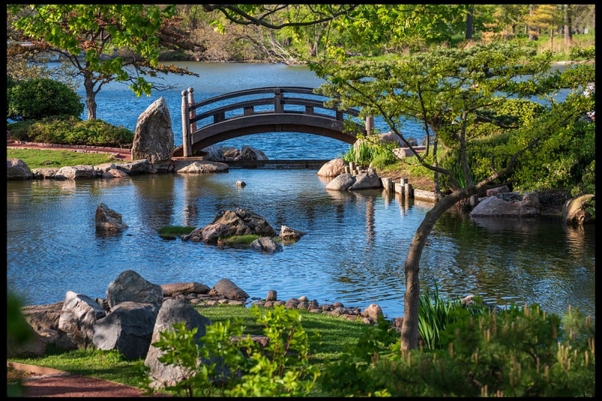 Optima Lakeview® Apartments in Chicago, IL A small wooden bridge arches over a peaceful pond in Jackson Park’s Garden of the Phoenix, surrounded by rocks and lush greenery.