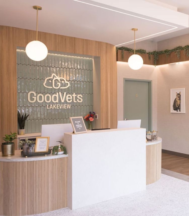 Optima Lakeview® Apartments in Chicago, IL Modern veterinary clinic reception with "GoodVets Lakeview" sign, plants, and cat artwork on the wall.