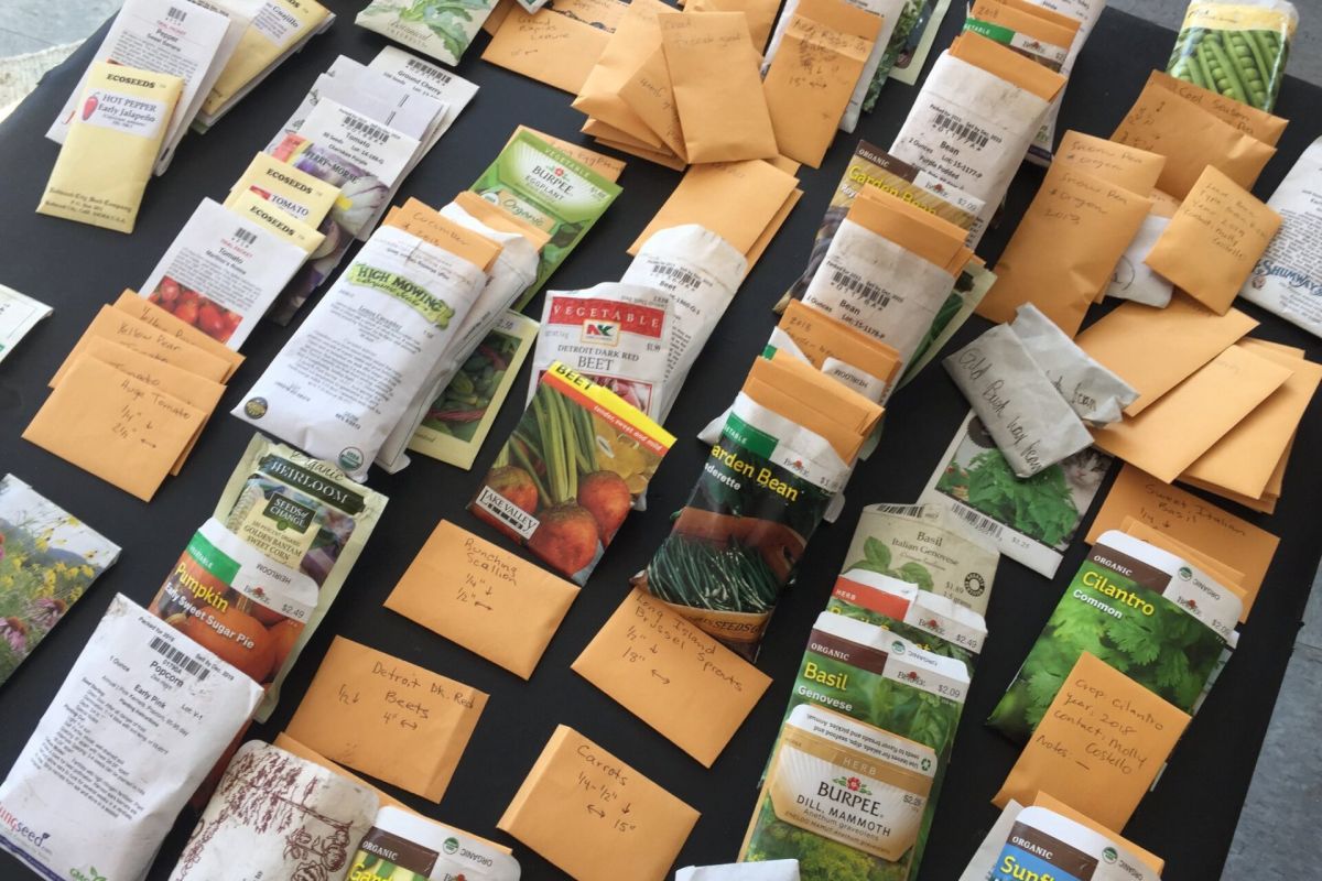 Optima Lakeview® Apartments in Chicago, IL Seed packets and envelopes with labels from the Chicago Seed Library are spread out across a black surface.