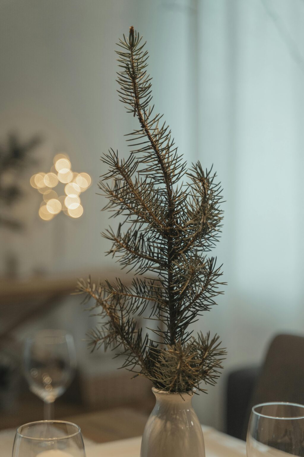 Optima Lakeview® Apartments in Chicago, IL Small pine branch in a white vase on a table, perfect for holiday decorating in modernist interiors. Blurred lights and glassware behind.