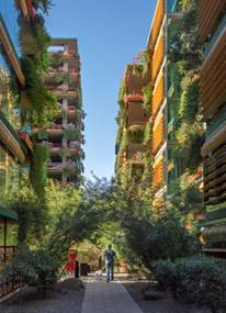 Optima Lakeview® Apartments in Chicago, IL A person walks between tall, plant-covered buildings under a blue sky, heading home in a peaceful green urban area.