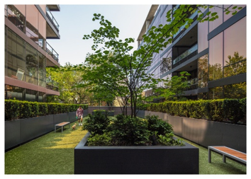 Optima Lakeview® Apartments in Chicago, IL A landscaped courtyard with benches, greenery, and a person walking a dog between modern glass buildings.