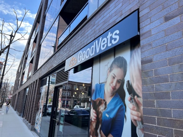 Optima Lakeview® Apartments in Chicago, IL Exterior of GoodVets clinic with a photo of a vet examining a dog on the front window.